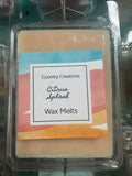 Citrus Splash Wax Melts
